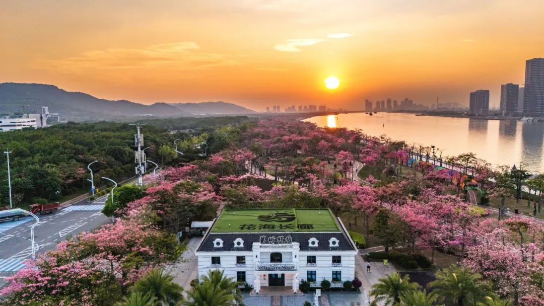 1735868940202769.jpg 22.jpg